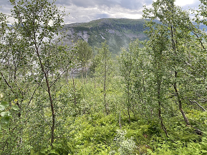 Klicke auf die Grafik für eine vergrößerte Ansicht

Name: Norwegen211.JPG
Ansichten: 796
Größe: 6,71 MB
ID: 3153253