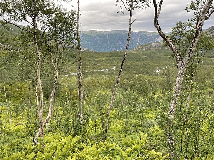 Klicke auf die Grafik für eine vergrößerte Ansicht

Name: Norwegen215.JPG
Ansichten: 786
Größe: 6,15 MB
ID: 3153257