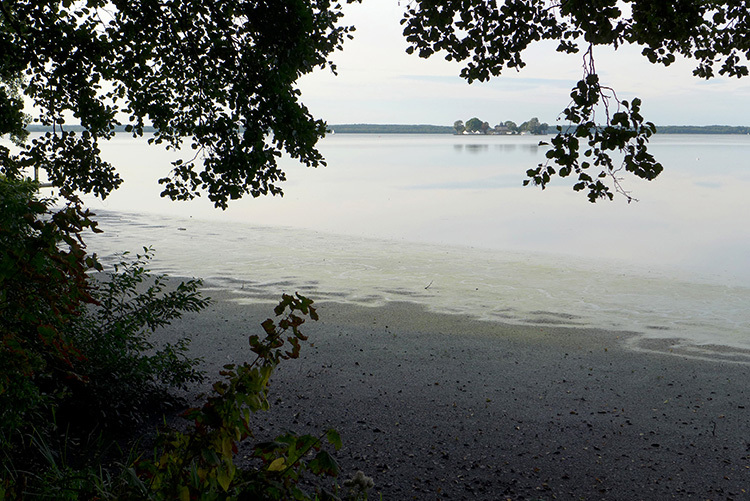 Klicke auf die Grafik für eine vergrößerte Ansicht

Name: Abendradeln_793.jpg
Ansichten: 533
Größe: 218,4 KB
ID: 3153493