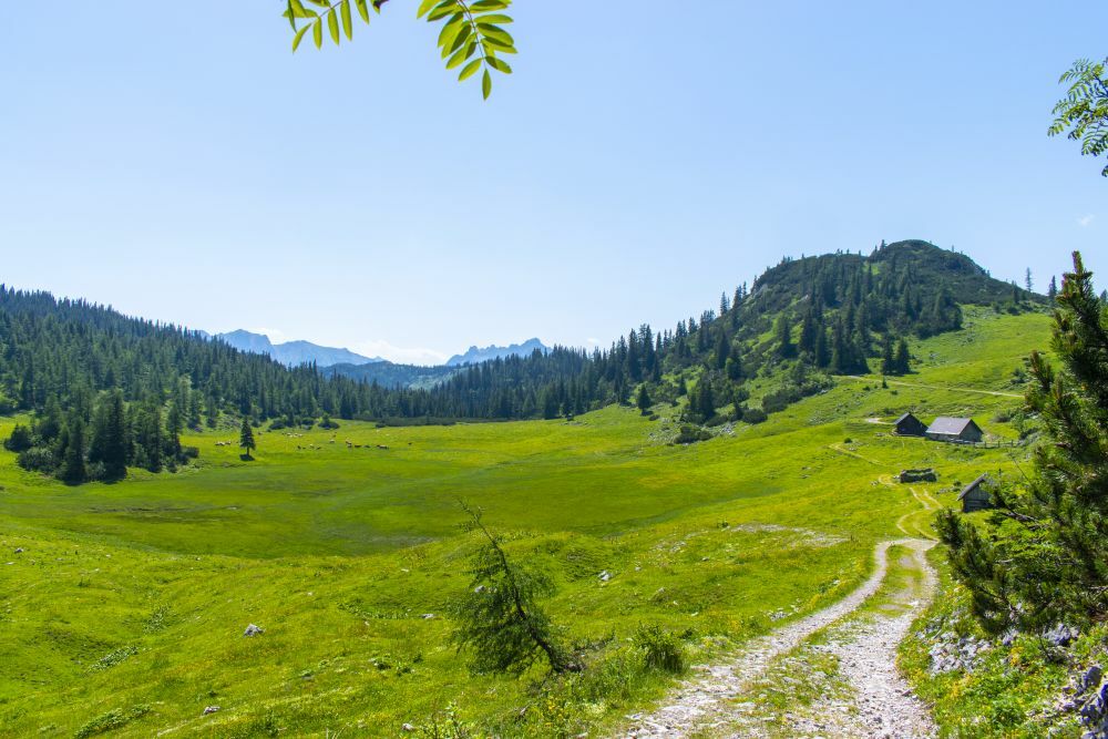 Klicke auf die Grafik für eine vergrößerte Ansicht  Name: 21 Die Sackwiesenalm lädt zur Pause ein.jpg Ansichten: 0 Größe: 125,0 KB ID: 3154051
