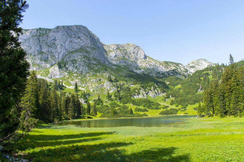 Klicke auf die Grafik für eine vergrößerte Ansicht  Name: 22 Badepause am Sackwiesensee.jpg Ansichten: 0 Größe: 153,8 KB ID: 3154057
