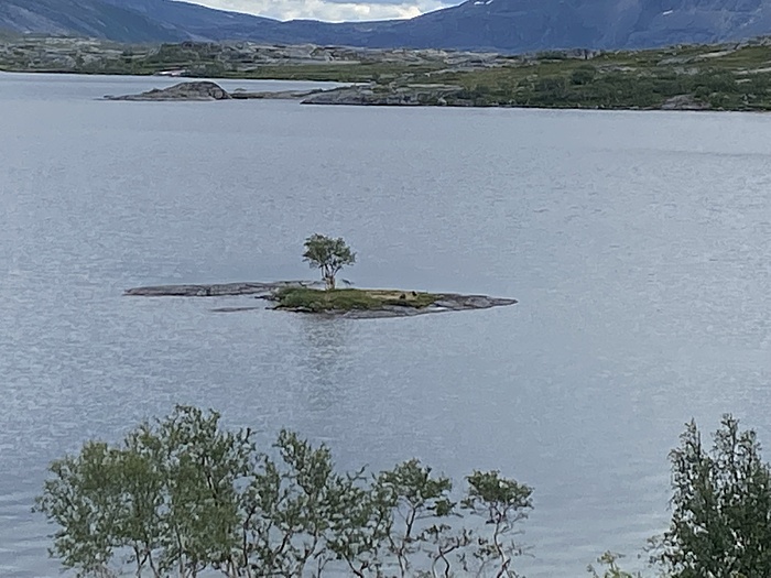 Klicke auf die Grafik für eine vergrößerte Ansicht

Name: Norwegen246.JPG
Ansichten: 705
Größe: 1,53 MB
ID: 3154460
