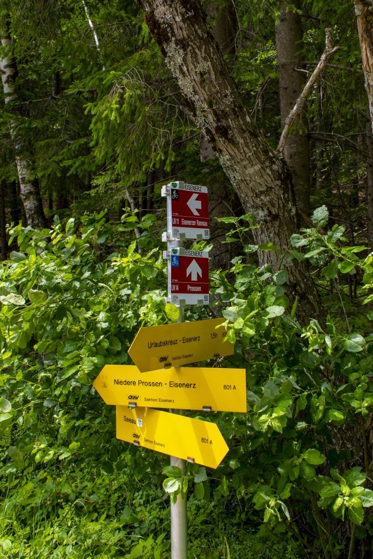 Klicke auf die Grafik für eine vergrößerte Ansicht  Name: 18 Irritierende Wegführung des Nordalpenweges.jpg Ansichten: 0 Größe: 236,1 KB ID: 3154868