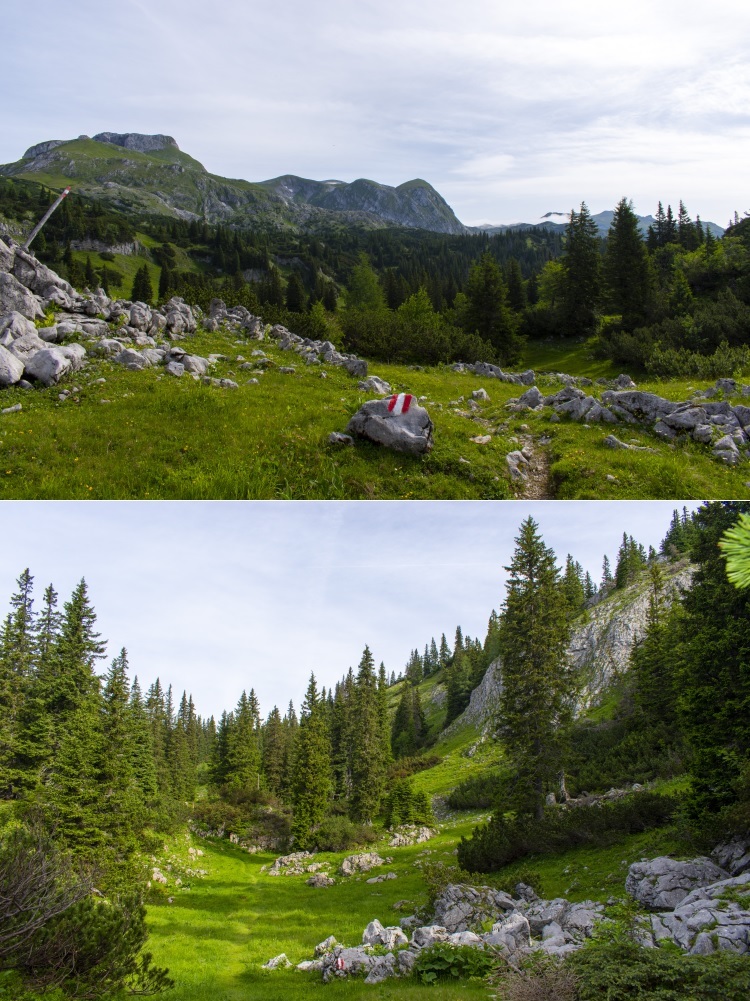 Klicke auf die Grafik für eine vergrößerte Ansicht  Name: 05 Almwandern in der Hochschwabgruppe.jpg Ansichten: 0 Größe: 314,2 KB ID: 3154870