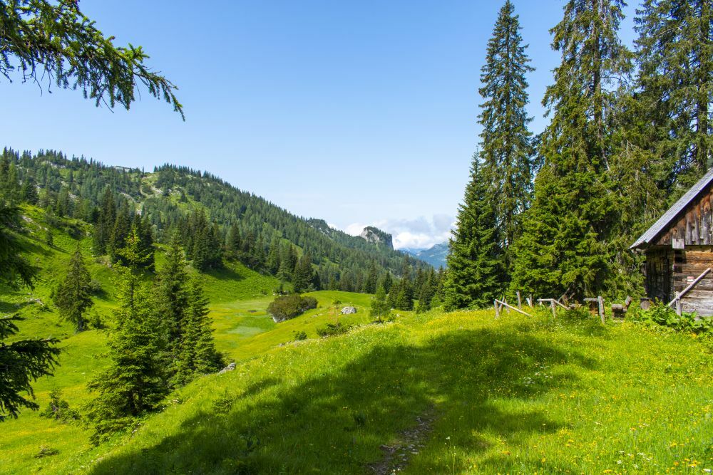 Klicke auf die Grafik für eine vergrößerte Ansicht  Name: 10 Die Jagdhütte auf der Fobisalm.jpg Ansichten: 0 Größe: 178,5 KB ID: 3154876