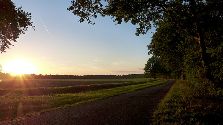 Klicke auf die Grafik für eine vergrößerte Ansicht  Name: Abendradeln_806.jpg Ansichten: 0 Größe: 156,4 KB ID: 3155605