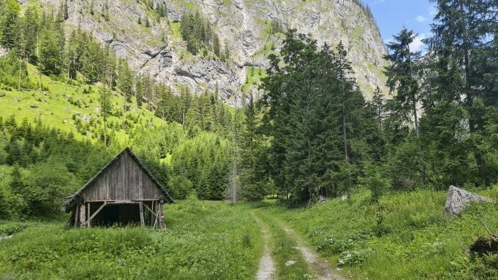 Klicke auf die Grafik für eine vergrößerte Ansicht

Name: 193 Schutzhütte im Hinterseeaugraben 01.jpg
Ansichten: 90
Größe: 94,0 KB
ID: 3155985