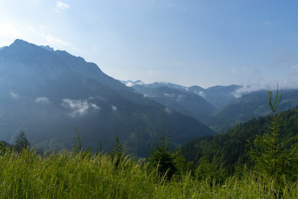 Klicke auf die Grafik für eine vergrößerte Ansicht  Name: 04 Der Finstergraben, durch den ich ins Radmertal gekommen bin.jpg Ansichten: 0 Größe: 79,0 KB ID: 3155995