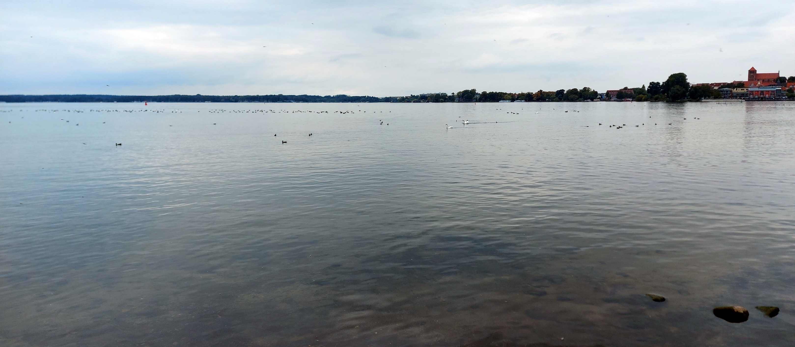 Klicke auf die Grafik für eine vergrößerte Ansicht

Name: Müritz.jpg
Ansichten: 389
Größe: 1,30 MB
ID: 3156192