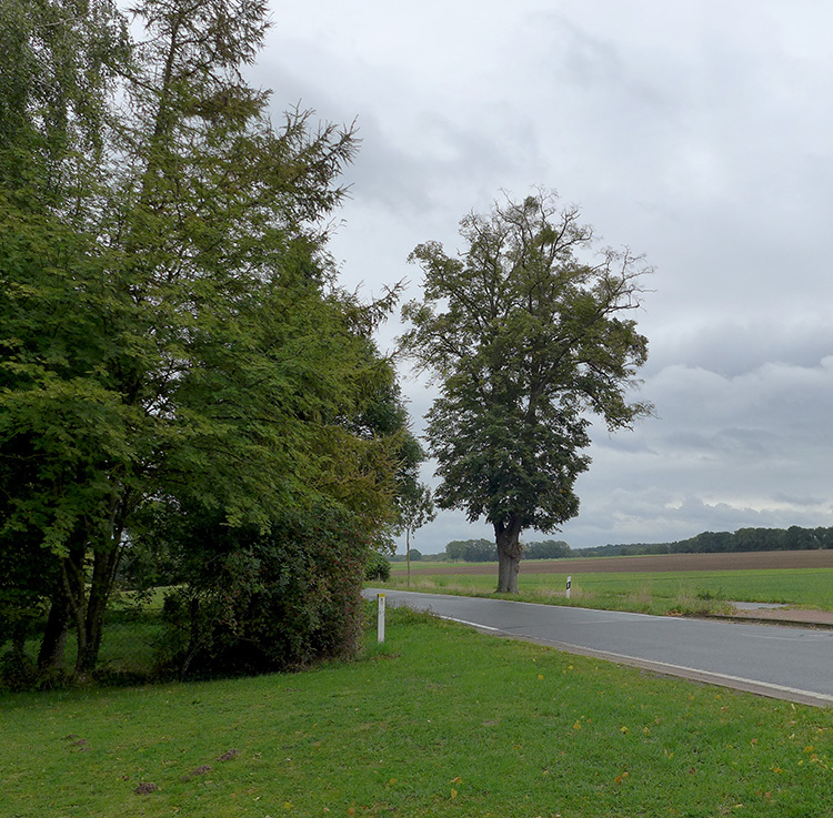 Klicke auf die Grafik für eine vergrößerte Ansicht Name: Weser_10.jpg Ansichten: 0 Größe: 297,3 KB ID: 3156380
