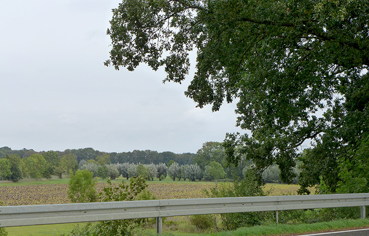 Klicke auf die Grafik für eine vergrößerte Ansicht Name: Weser_13.jpg Ansichten: 0 Größe: 225,4 KB ID: 3156383