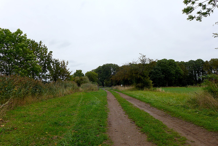 Klicke auf die Grafik für eine vergrößerte Ansicht Name: Weser_21.jpg Ansichten: 0 Größe: 193,4 KB ID: 3156391