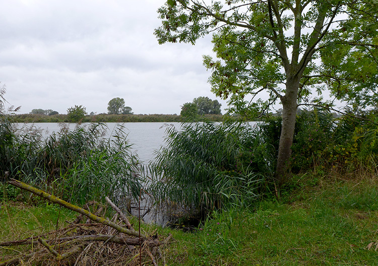 Klicke auf die Grafik für eine vergrößerte Ansicht Name: Weser_22.jpg Ansichten: 0 Größe: 289,7 KB ID: 3156392