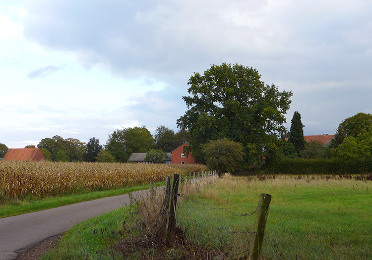 Klicke auf die Grafik für eine vergrößerte Ansicht Name: Weser_64.jpg Ansichten: 0 Größe: 177,3 KB ID: 3156797