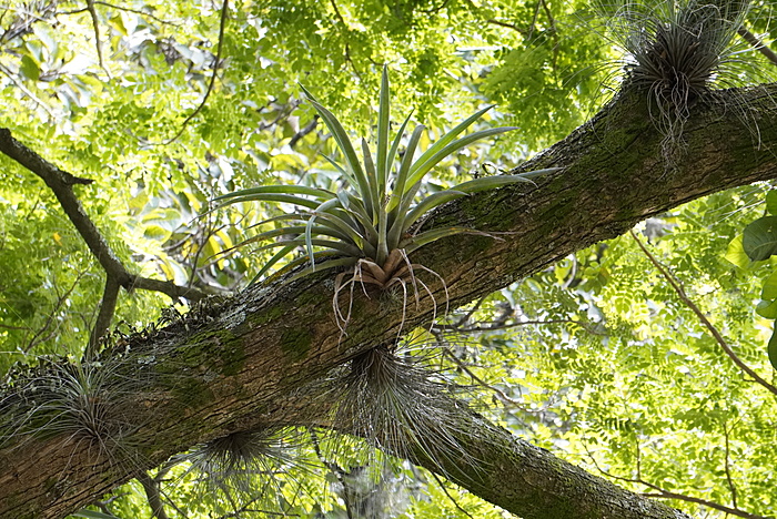 Klicke auf die Grafik für eine vergrößerte Ansicht

Name: _DSC1570.JPG
Ansichten: 404
Größe: 929,6 KB
ID: 3159019