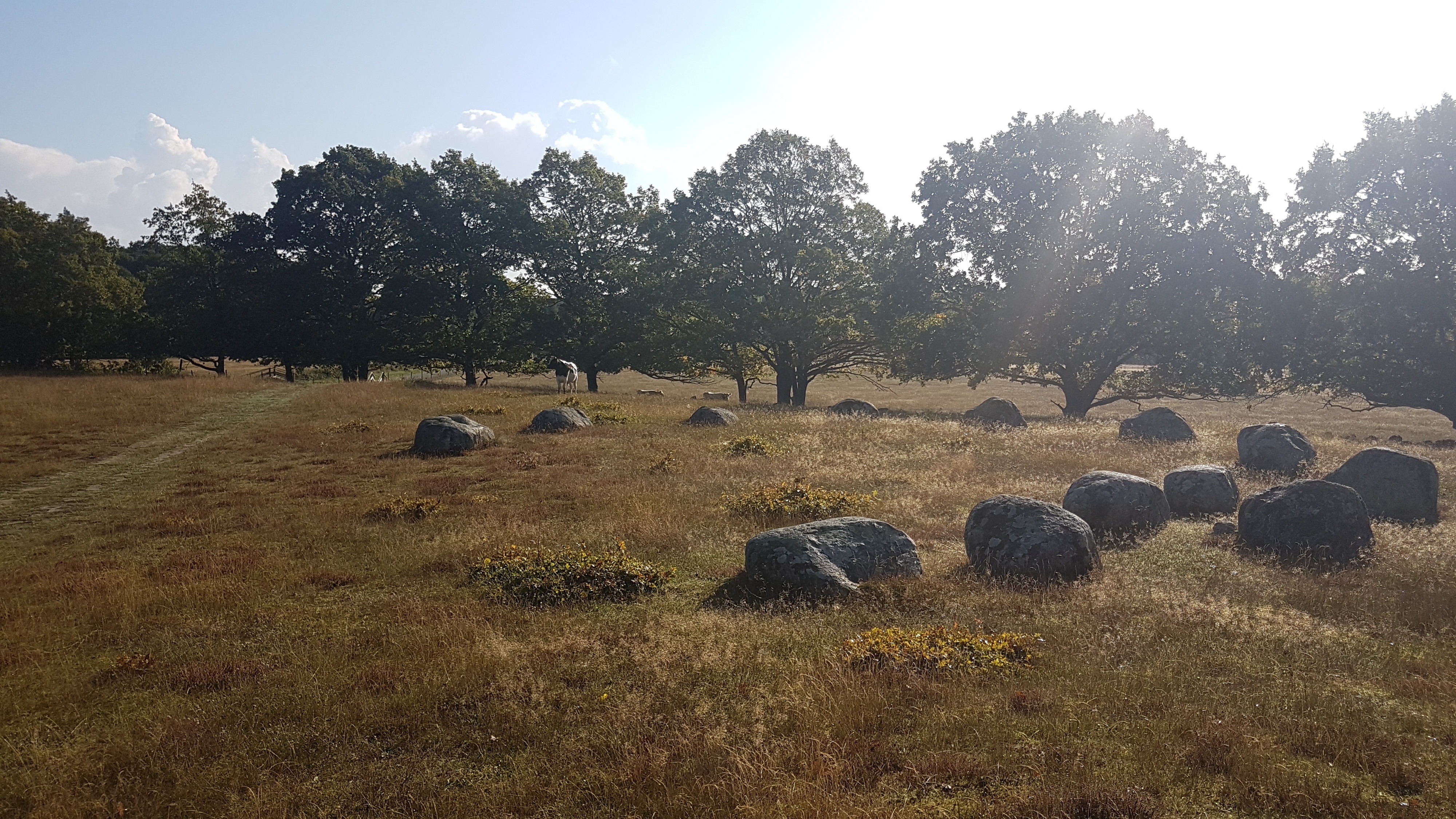 Klicke auf die Grafik für eine vergrößerte Ansicht  Name: 05 Wiese Findlinge.jpg Ansichten: 116 Größe: 3,32 MB ID: 3159234