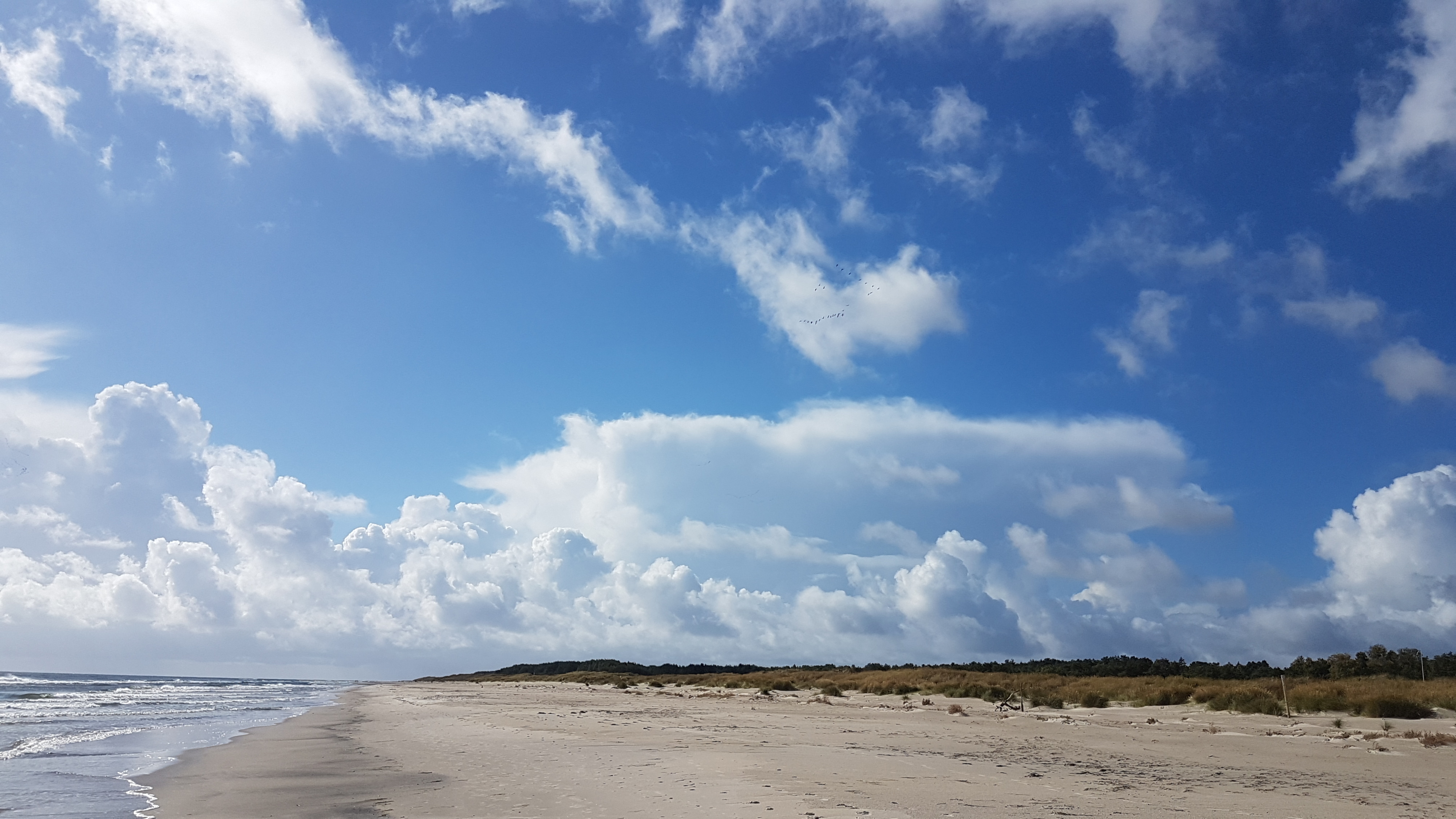 Klicke auf die Grafik für eine vergrößerte Ansicht  Name: 15 weiter Strand.jpg Ansichten: 112 Größe: 1,80 MB ID: 3159245