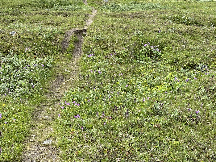 Klicke auf die Grafik für eine vergrößerte Ansicht

Name: Norwegen308.JPG
Ansichten: 457
Größe: 5,46 MB
ID: 3159475