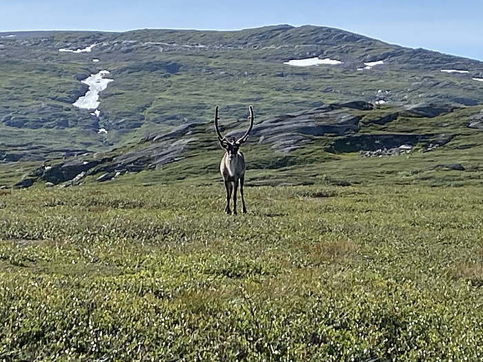 Klicke auf die Grafik für eine vergrößerte Ansicht

Name: Norwegen326.JPG
Ansichten: 439
Größe: 2,36 MB
ID: 3159485