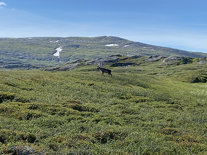 Klicke auf die Grafik für eine vergrößerte Ansicht

Name: Norwegen325.JPG
Ansichten: 438
Größe: 2,77 MB
ID: 3159486