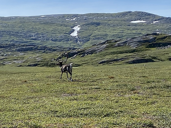Klicke auf die Grafik für eine vergrößerte Ansicht

Name: Norwegen328.JPG
Ansichten: 443
Größe: 2,59 MB
ID: 3159487