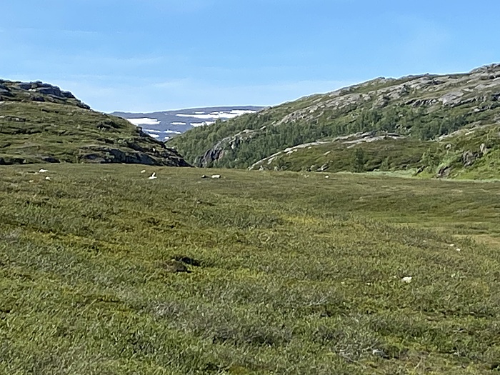 Klicke auf die Grafik für eine vergrößerte Ansicht

Name: Norwegen332.JPG
Ansichten: 444
Größe: 1,96 MB
ID: 3159490