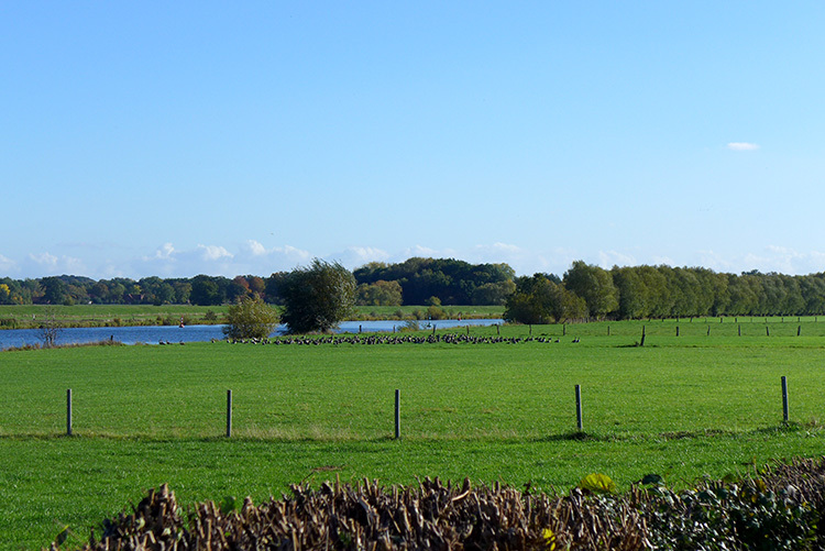 Klicke auf die Grafik für eine vergrößerte Ansicht Name: Weser_77.jpg Ansichten: 4 Größe: 170,5 KB ID: 3160298