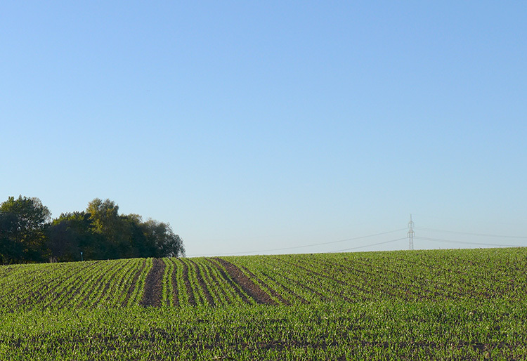 Klicke auf die Grafik für eine vergrößerte Ansicht  Name: Weser_91.jpg Ansichten: 4 Größe: 166,8 KB ID: 3160312