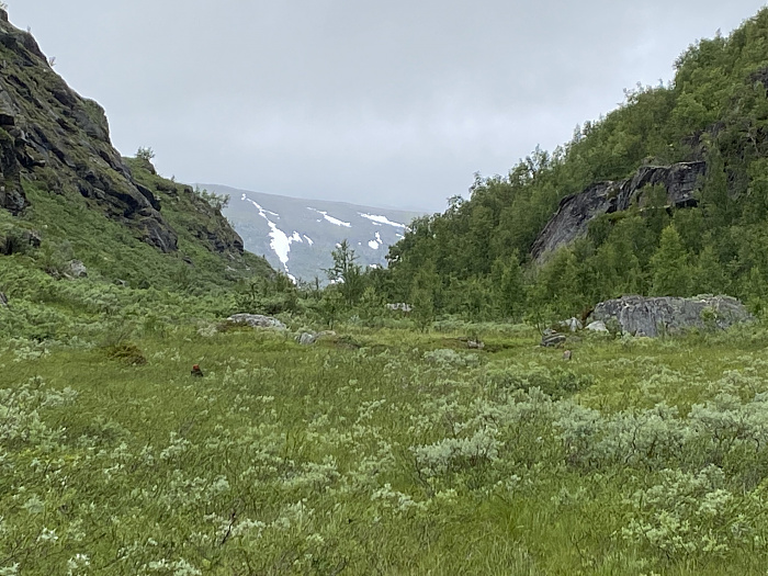 Klicke auf die Grafik für eine vergrößerte Ansicht

Name: Norwegen340.jpg
Ansichten: 364
Größe: 2,54 MB
ID: 3160646