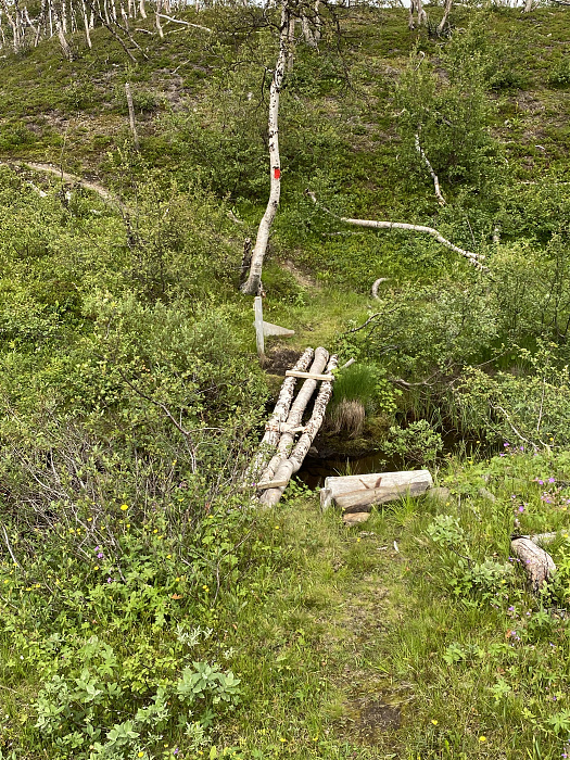 Klicke auf die Grafik für eine vergrößerte Ansicht

Name: Norwegen349.jpg
Ansichten: 349
Größe: 6,92 MB
ID: 3160658