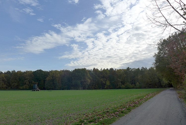 Klicke auf die Grafik für eine vergrößerte Ansicht Name: Weser_119.jpg Ansichten: 0 Größe: 133,8 KB ID: 3161807