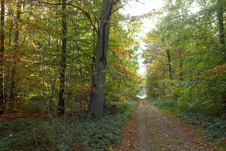 Klicke auf die Grafik für eine vergrößerte Ansicht Name: Weser_120.jpg Ansichten: 0 Größe: 322,2 KB ID: 3161808