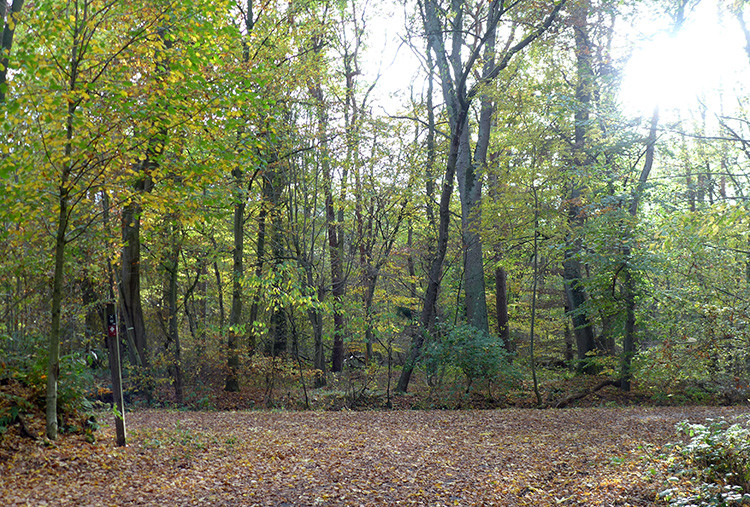 Klicke auf die Grafik für eine vergrößerte Ansicht Name: Weser_122.jpg Ansichten: 0 Größe: 337,5 KB ID: 3161810
