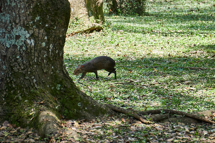 Klicke auf die Grafik für eine vergrößerte Ansicht

Name: _DSC1841.jpg
Ansichten: 385
Größe: 1,42 MB
ID: 3162322
