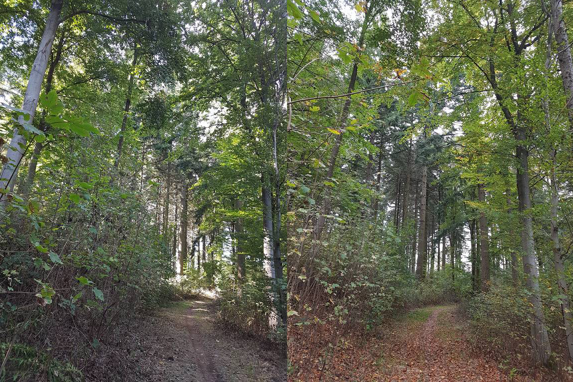 Klicke auf die Grafik für eine vergrößerte Ansicht

Name: 6 10 p.png
Ansichten: 286
Größe: 2,53 MB
ID: 3163814