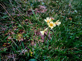 Klicke auf die Grafik für eine vergrößerte Ansicht

Name: IMG_20221109_161006_DRO.jpg
Ansichten: 398
Größe: 1,21 MB
ID: 3164534