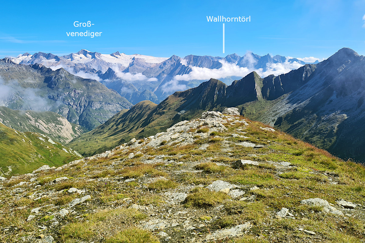 Klicke auf die Grafik für eine vergrößerte Ansicht  Name: 2022 F gnilroesaL_62annot_1200.jpg Ansichten: 0 Größe: 591,4 KB ID: 3167231