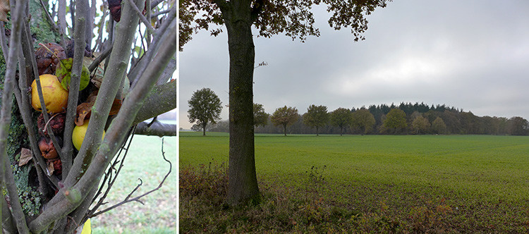 Klicke auf die Grafik für eine vergrößerte Ansicht  Name: Weser_183.jpg Ansichten: 0 Größe: 118,1 KB ID: 3168136