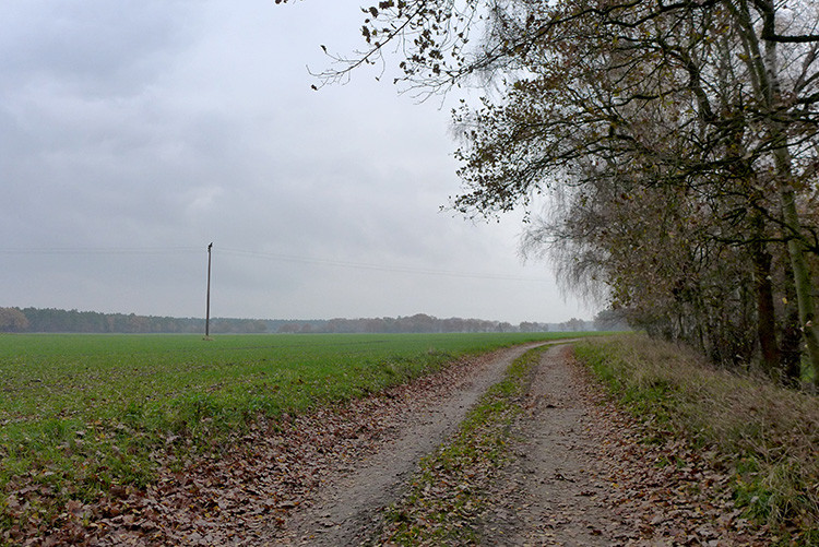 Klicke auf die Grafik für eine vergrößerte Ansicht  Name: Weser_214.jpg Ansichten: 0 Größe: 184,1 KB ID: 3169479