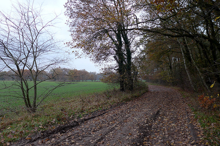 Klicke auf die Grafik für eine vergrößerte Ansicht  Name: Weser_216.jpg Ansichten: 0 Größe: 265,5 KB ID: 3169481