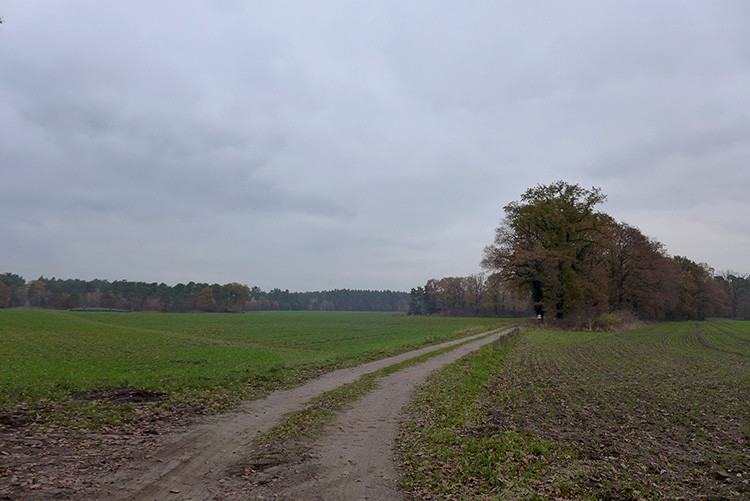Klicke auf die Grafik für eine vergrößerte Ansicht  Name: Weser_217.jpg Ansichten: 0 Größe: 112,7 KB ID: 3169482