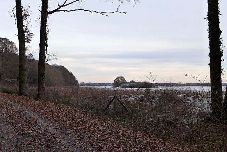 Klicke auf die Grafik für eine vergrößerte Ansicht  Name: Weser_241.jpg Ansichten: 0 Größe: 155,0 KB ID: 3172509