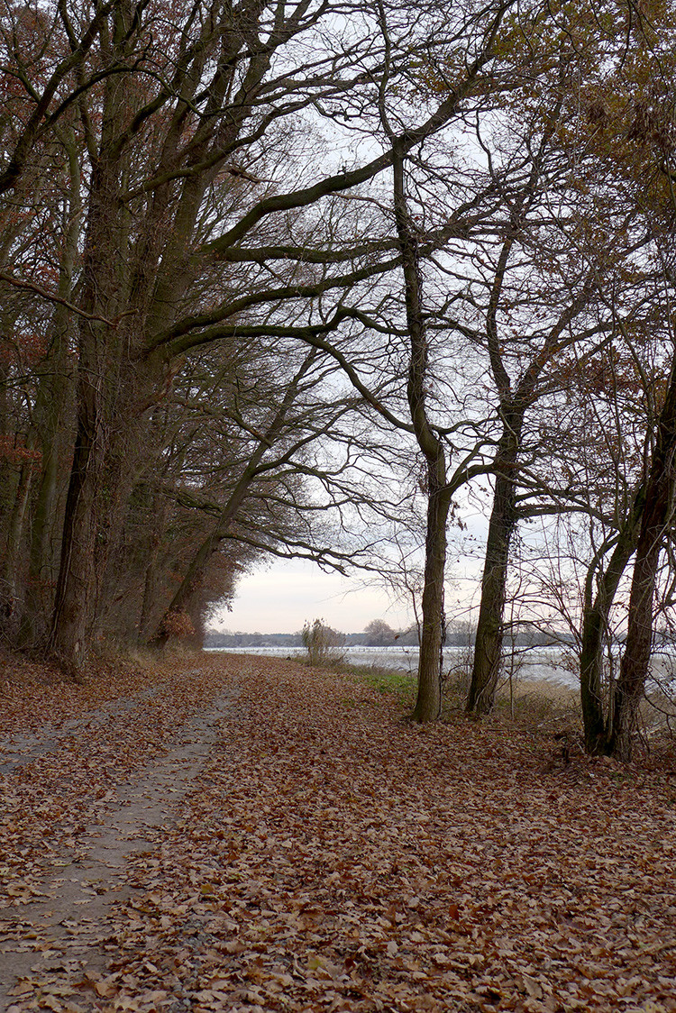 Klicke auf die Grafik für eine vergrößerte Ansicht  Name: Weser_245.jpg Ansichten: 0 Größe: 658,5 KB ID: 3172513