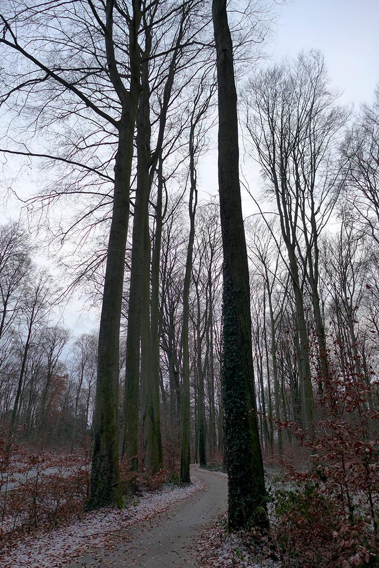 Klicke auf die Grafik für eine vergrößerte Ansicht  Name: Weser_260.jpg Ansichten: 0 Größe: 545,5 KB ID: 3172527