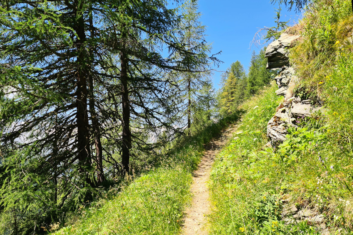 Klicke auf die Grafik für eine vergrößerte Ansicht

Name: 2022 H Bergersee 03_1200.jpg
Ansichten: 287
Größe: 756,2 KB
ID: 3174227
