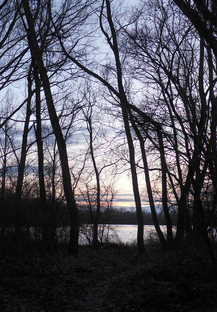 Klicke auf die Grafik für eine vergrößerte Ansicht  Name: Weser_281.jpg Ansichten: 0 Größe: 520,6 KB ID: 3175737