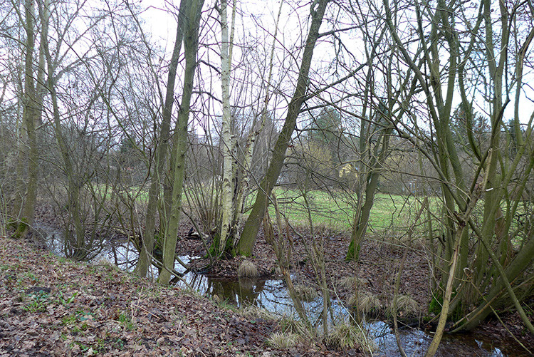 Klicke auf die Grafik für eine vergrößerte Ansicht  Name: Weser_301a.jpg Ansichten: 0 Größe: 290,7 KB ID: 3177446