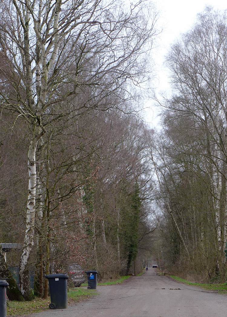 Klicke auf die Grafik für eine vergrößerte Ansicht  Name: Weser_303.jpg Ansichten: 0 Größe: 502,3 KB ID: 3177448