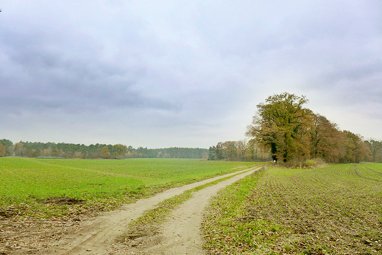 Klicke auf die Grafik für eine vergrößerte Ansicht  Name: Weser_217_OutofSaigon.jpg Ansichten: 619 Größe: 140,5 KB ID: 3178429