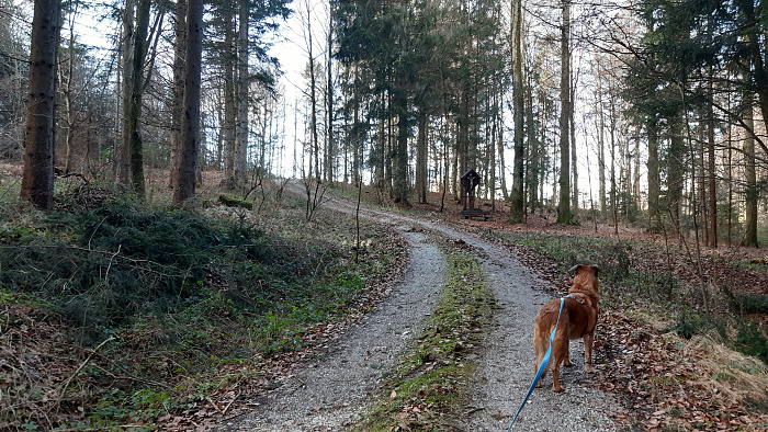 Klicke auf die Grafik für eine vergrößerte Ansicht

Name: Bild03.jpg
Ansichten: 1055
Größe: 4,66 MB
ID: 3178624